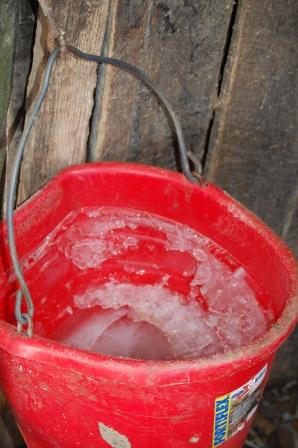 Red bucket with frozen water